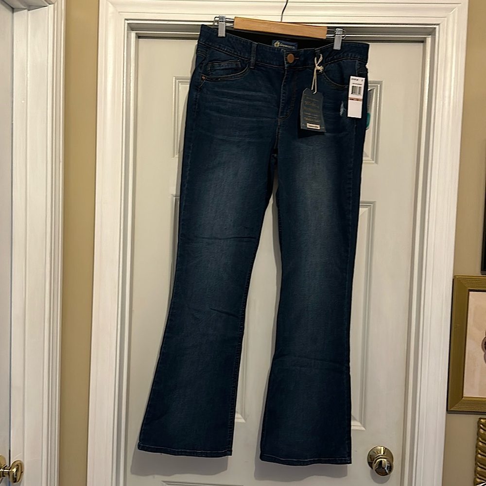 Democracy “Ab”solution Itty Bitty Boot size 12